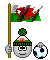 02 Flaggenkunterbunt 016 Smiley – Fussball